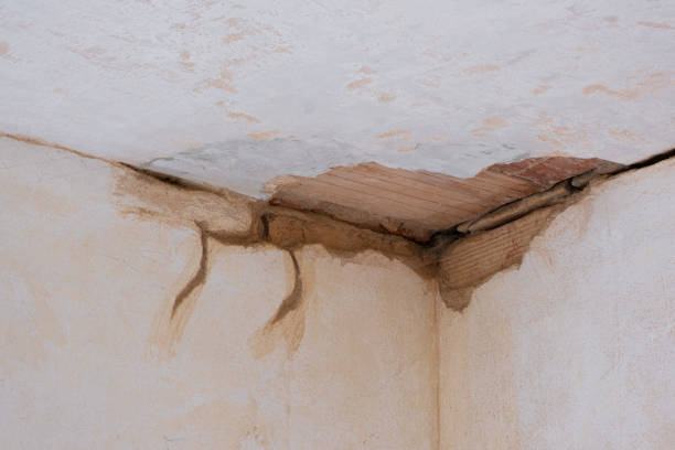 Best Basement water damage restoration  in Brownwood, TX