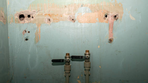 Best Ceiling water damage repair  in Brownwood, TX